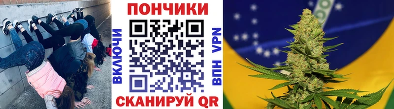Шишки марихуана OG Kush  hydra онион  Тогучин 